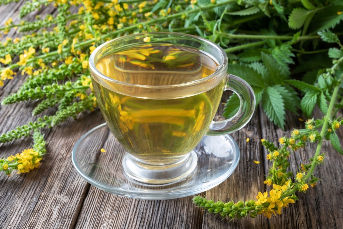 Tè di rapa in tazza