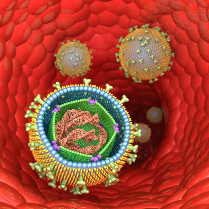 Rappresentazione 3D della struttura del virus di Epstein-Barr (mononucleosi infettiva) in cellule umane