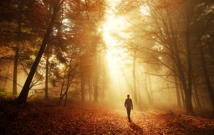 sagoma di un uomo che cammina in una foresta profonda durante l'autunno