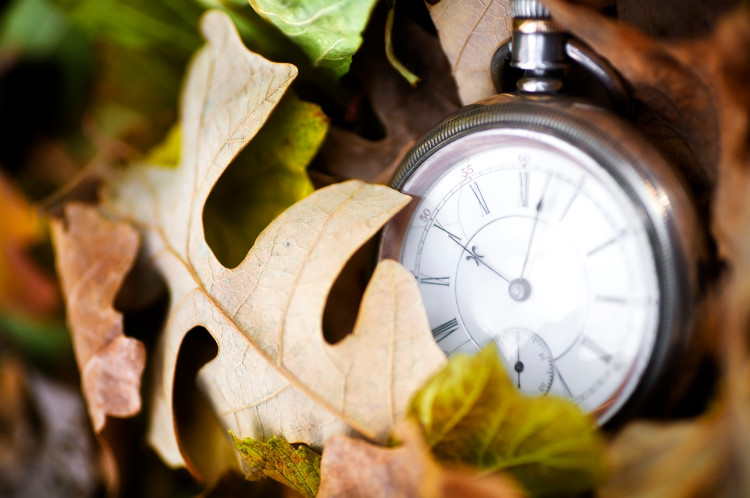 Lancette di un orologio posate su foglie d'autunno