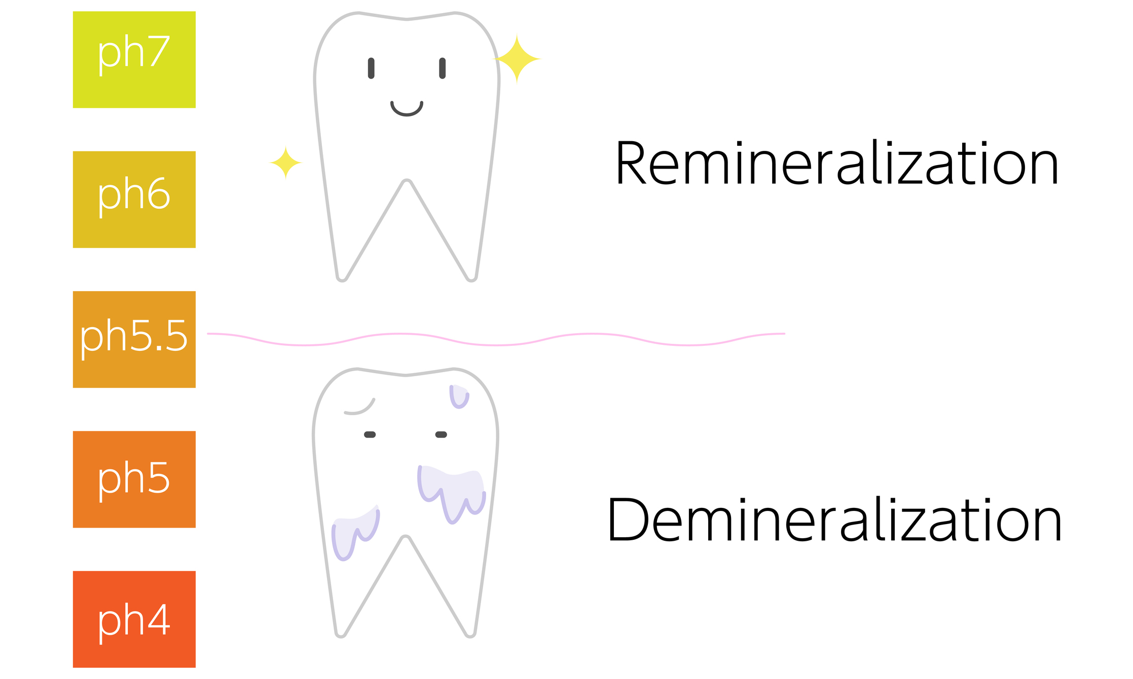 Il valore critico del pH della saliva è considerato 5,5. A questo valore inizia il processo di demineralizzazione dello smalto dei denti.