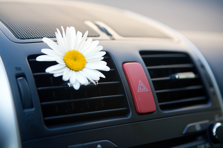 Aria condizionata in auto, scarico dell'aria, fiore, aroma piacevole, manutenzione