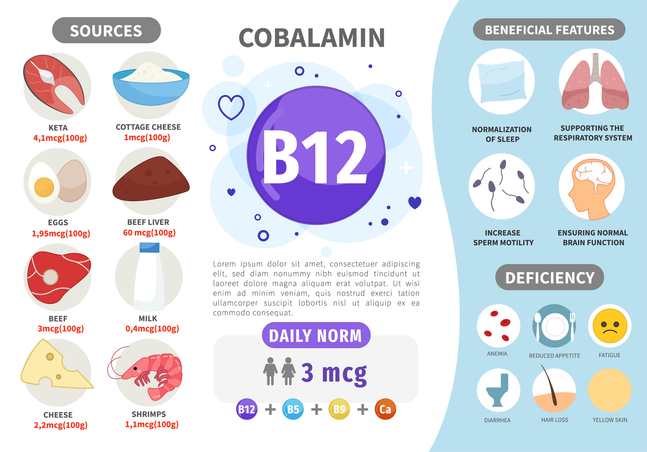 Fonti di vitamina B12