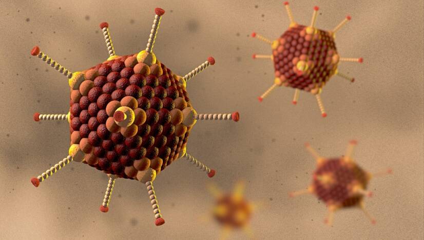 Infezione da adenovirus: cos'è l'adenovirus, come si trasmette e quali sono i sintomi?