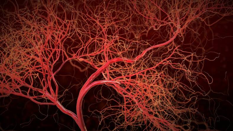 Cosa sono le vasculiti e cosa provoca l'infiammazione dei vasi sanguigni + Sintomi, trattamento