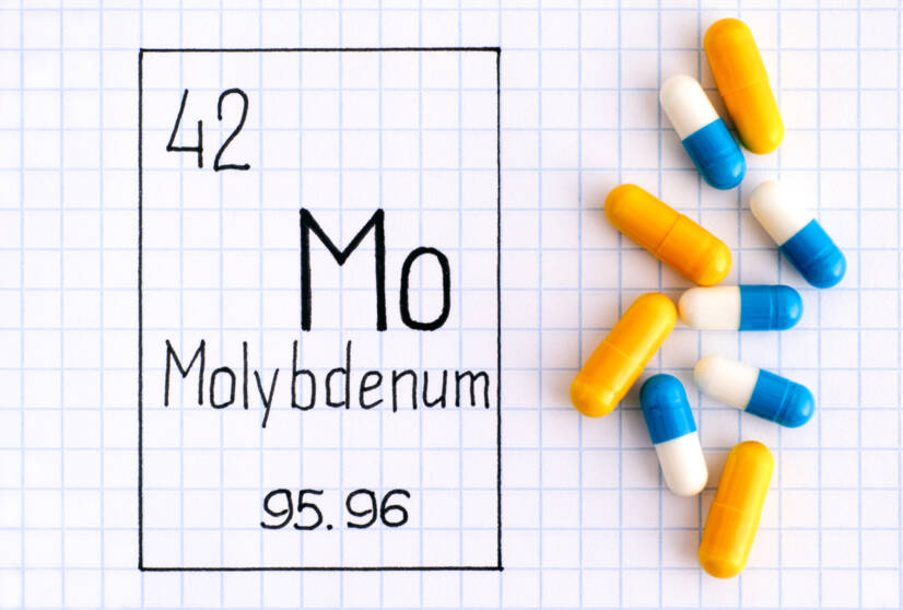 Molibdeno: quali sono i suoi effetti sull'organismo? Fonti alimentari + sintomi di carenza ed eccesso