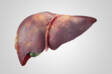 Cancro al fegato: perché si manifesta e come si manifesta + Trattamento